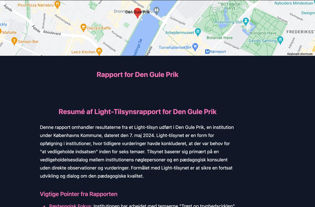 Tilsynsrapport screenshot